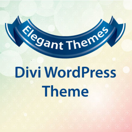 Elegant Themes Divi WordPress Theme
