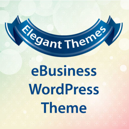 Elegant Themes eBusiness WordPress Theme