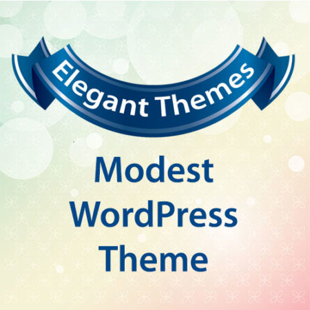 Elegant Themes Modest WordPress Theme