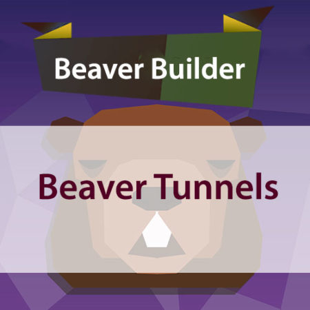 Beaver Tunnels Addon