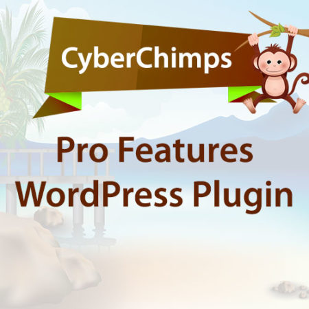 CyberChimps CyberChimps Pro Features WordPress Plugin