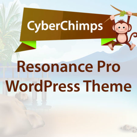 CyberChimps Resonance Pro WordPress Theme
