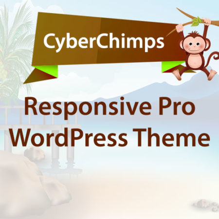 CyberChimps Responsive Pro WordPress Theme