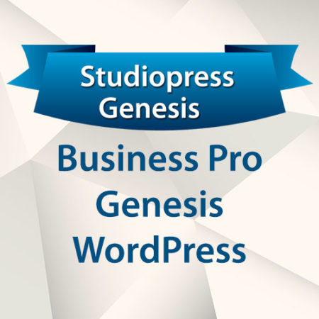 StudioPress Business Pro Genesis WordPress Theme