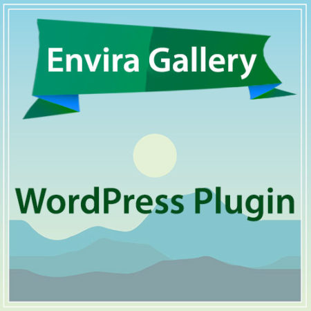 Envira Gallery WordPress Plugin